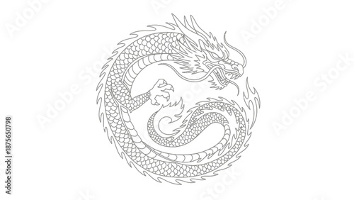line art dragon illustration