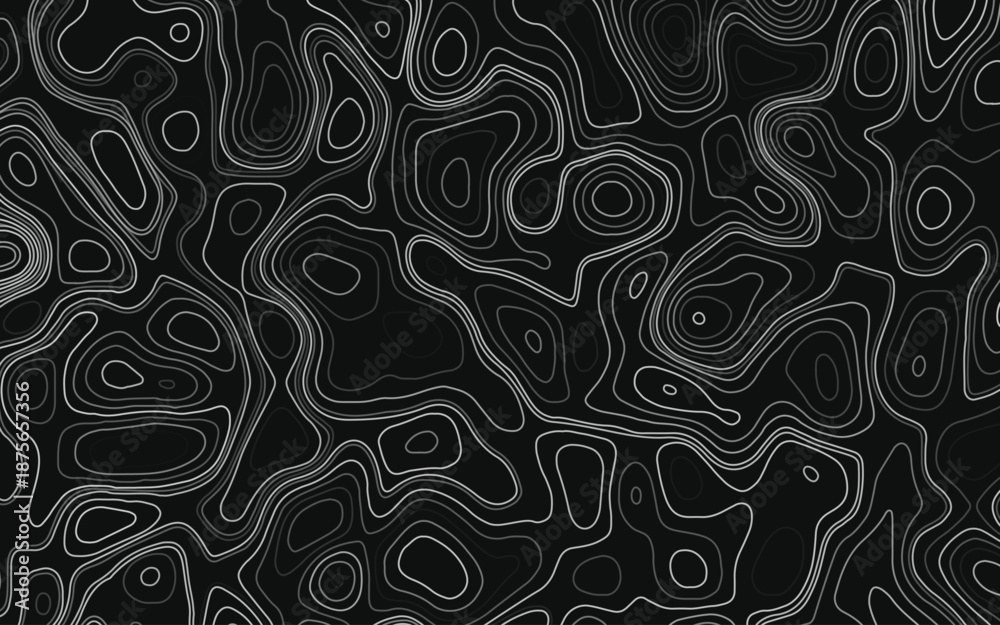 Fototapeta premium Fractal lines background. Topographic map like abstract backdrop vector illustration. Business concept. Vector illustration