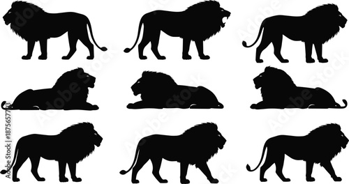 Silhouette vector set of lions in multiple poses and actions, ideal for wildlife, design, and educational content use