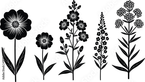 Flower silhouettes collection, botanical floral plants set, wildflowers leaves stems, black nature illustration elements