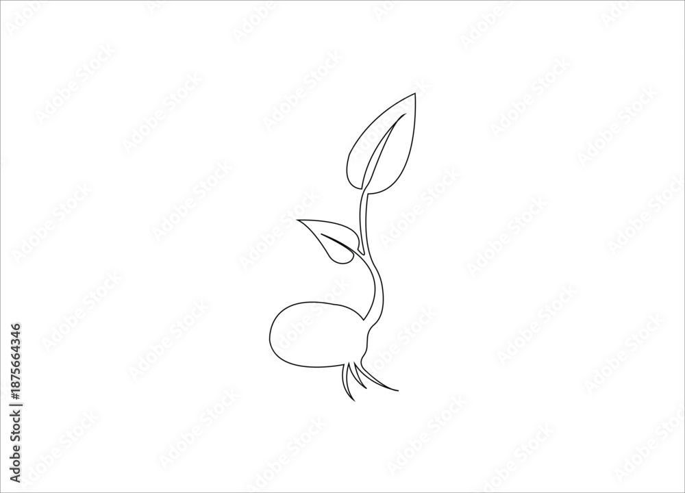 Fototapeta premium plant growth single line art template.