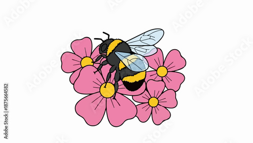 Fuzzy bee with striped body rests on bright pink flowers with yellow centers