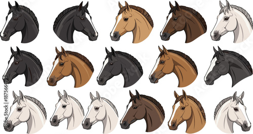 Horse head vector illustration set showing different breeds and coat colors, realistic equine portraits isolated on white