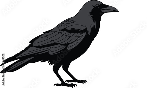 Dark raven bird graphic icon with feather details perfect for mysterious, gothic, or autumn concepts.