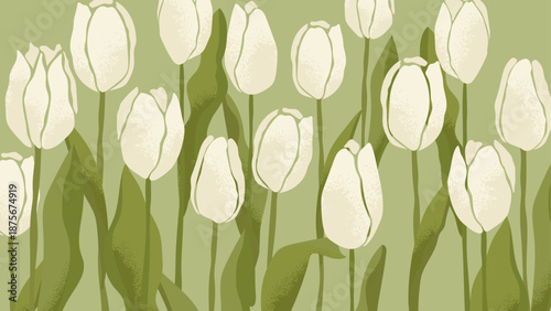 Botanical horizontal Background with blooming white tulips. Abstract flowers with hand drawn textures for the design of postcards, invitations, banners, congratulations on Women's Day, Mother's Day