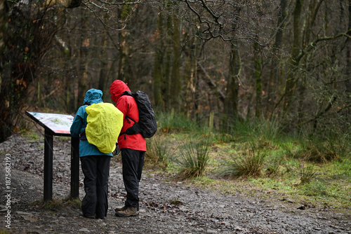 Tableau sur toile Hiking in a forest on a rainy day with full waterproof clothing and hoods up