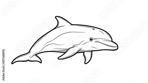 Dolphin in vector form with white background