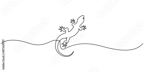 One continuous line drawing of lizard vector illustration. Unravel the secrets of their scaly skin, minimalist concept style, A realistic lizard drawn with a single continuous line Chameleon