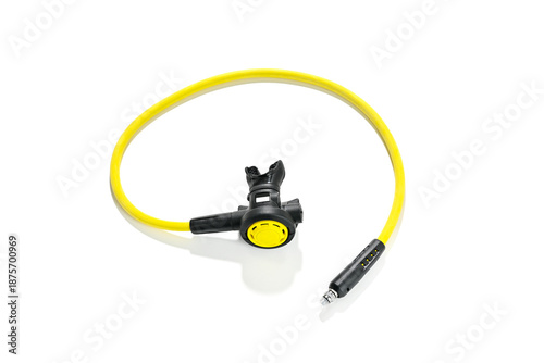 Octopus from above isolated on white background