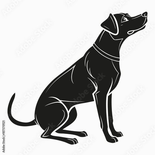 Placeholder image display