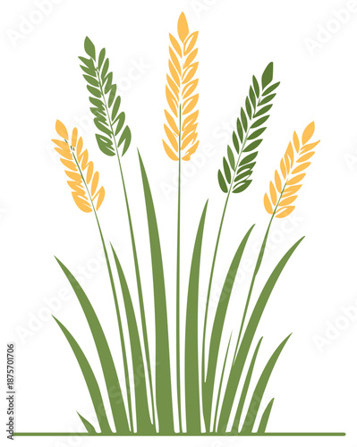 Graphic icon of wheat and barley stalks with golden and green heads for agriculture or bakery logo