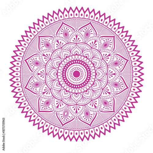 Colorful Ornamental Mandala Circle with Floral Line Art and Radial Symmetry