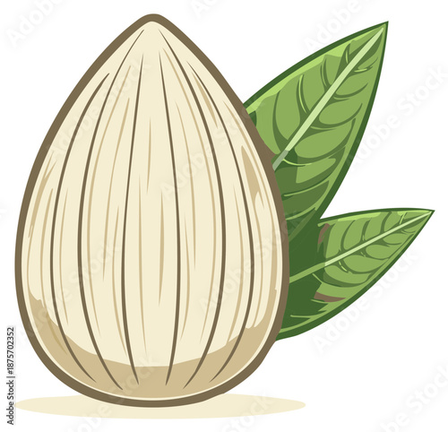 Cartoon style almond nut in shell with fresh green leaves healthy snack ingredient