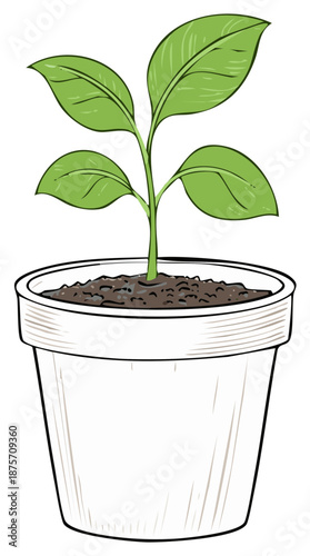 Green plant seedling growing in a white pot with soil illustration