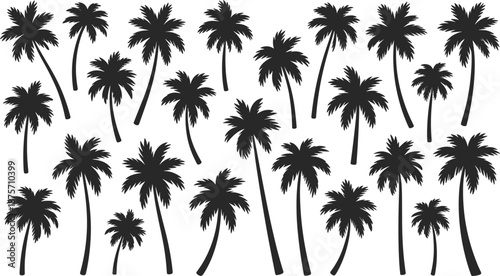 Palm tree silhouettes set, tropical summer beach plants, black and white coconut palm collection, exotic nature vector background