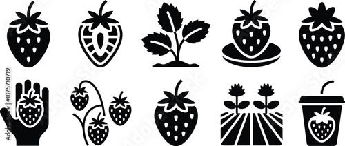 Strawberry icon set silhouettes, fruit, plant, farm, harvest, juice, organic food symbols, black and white vector collection