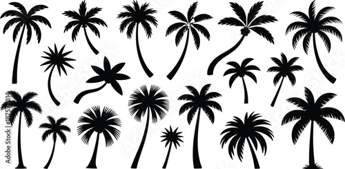 Palm tree silhouettes, tropical vector illustration, black icons, frond shapes, curved trunks, beach design, exotic foliage, summer landscape