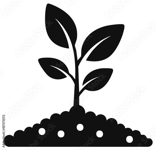 A young seedling sprouts from fertile soil, symbolizing new life, growth, and environmental care