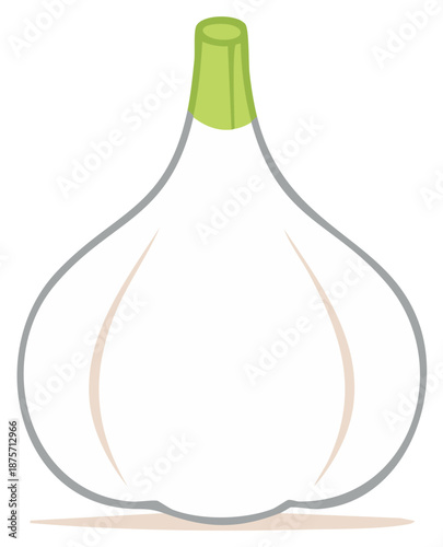 Garlic Bulb Illustration Food Ingredient Herb Simple Flat Graphic