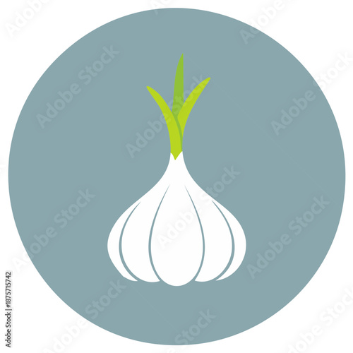 Flat design garlic bulb vector icon with a long shadow for food and cooking themes