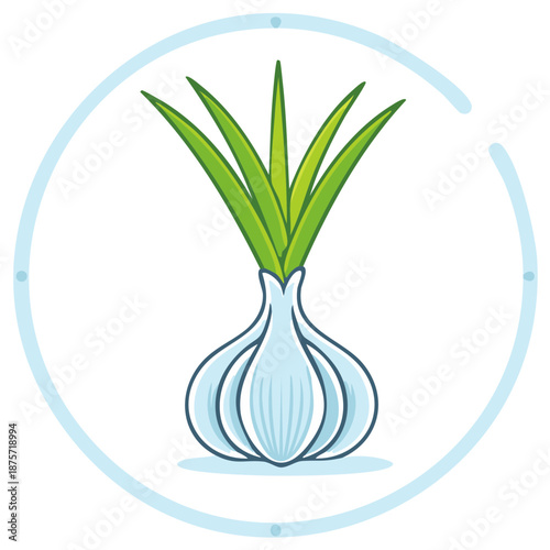 Cartoon Style Garlic Bulb with Green Sprouts Inside Circle, Healthy Vegetables