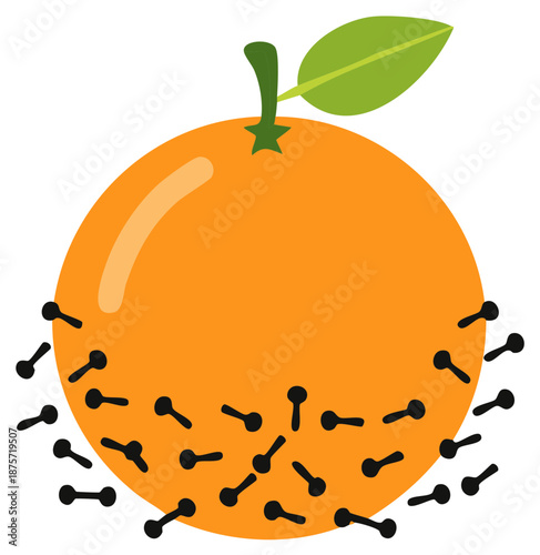An orange fruit decorated with black cloves in a scattered pattern