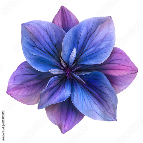 Abstract digital illustration of a single blue and purple exotic flower isolated on transparent background