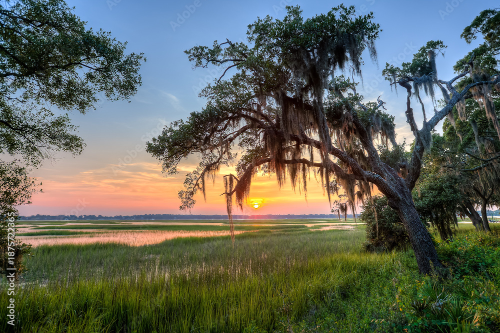 Obraz premium Marsh Sunset