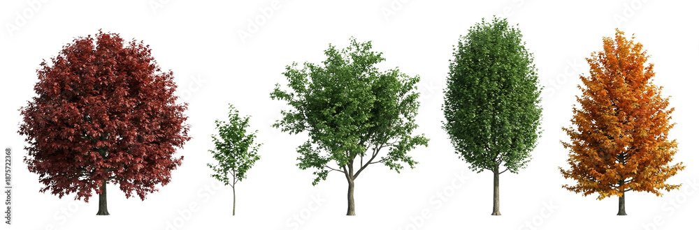 Obraz premium Diverse Trees Collection Isolated on White Background