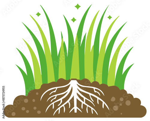 Vector illustration of healthy green grass with a strong root system shown in a soil cross section