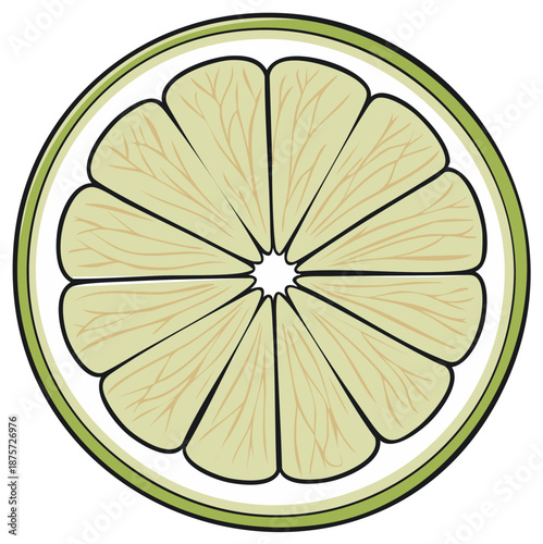 Bright green lime citrus fruit slice illustration with visible pulp segments and green rind