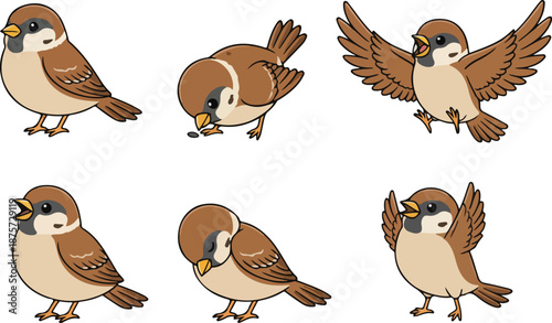 Bild auf Leinwand vector illustration of sparrow bird funny cute cartoon mascot character cartoon