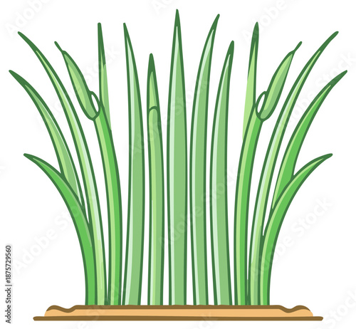 Clump of Green Grass Illustration Cartoon Style, Lush Leaves with Dew, Fresh Spring Growth