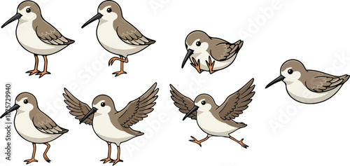 Foto vector illustration of sandpiper funny cute cartoon mascot character cartoon wit