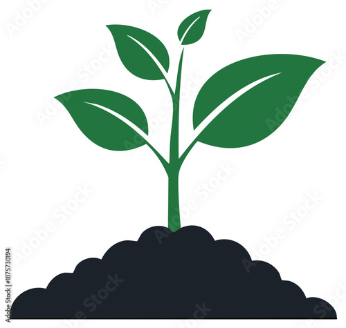 Green plant sprout emerging from dark soil isolated on white background