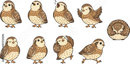 Obraz na płótnie vector illustration of quail bird funny cute cartoon mascot character cartoon wi