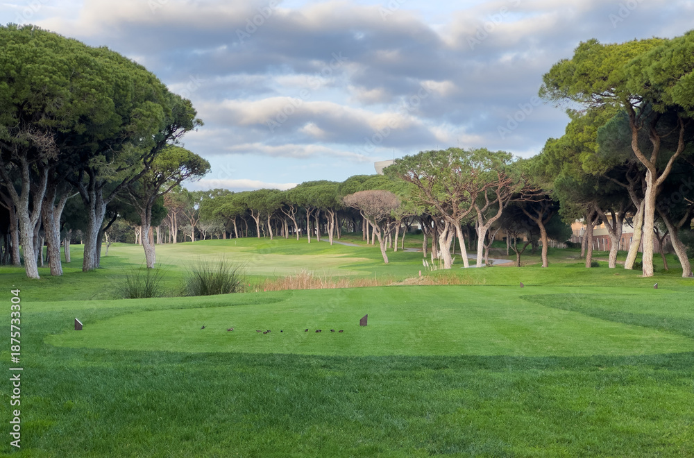 Obraz premium Beautiful green golf course landscape with winding path.