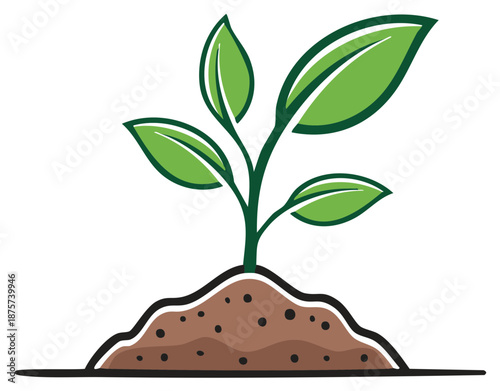 Fresh green seedling sprouting from fertile soil representing new life and organic growth