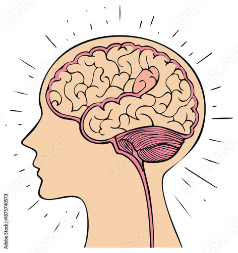Anatomical cartoon drawing of the human brain inside a head profile with radiating lines of thought