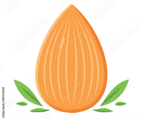 Simple graphic illustration of a single almond nut with green leaves representing healthy organic food