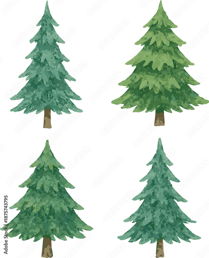 Fototapeta premium Collection of watercolor painted vector needle trees