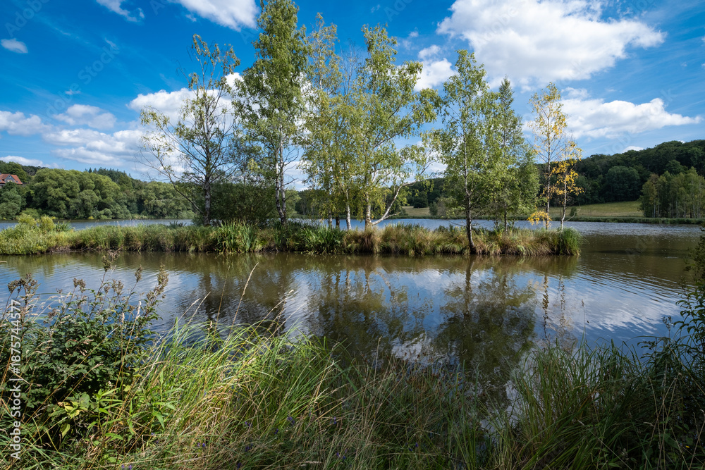 Obraz premium Quiet Natural Sanctuary, Serene Water Scene With Reeds, Peaceful Haven Amidst Tranquil Waters And Reflections
