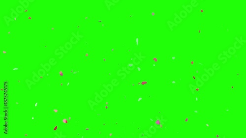 Heart confetti effect on green screen background	