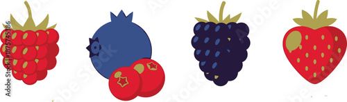 Set of 5 berry fruit icons flat illustration raspberry blueberry blackberry cranberry and strawberry