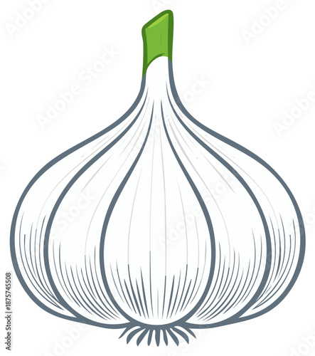 Stylized Garlic Bulb with Green Sprout Vector Illustration