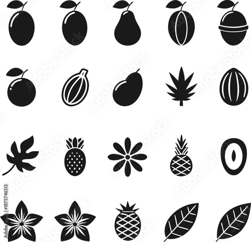 Fruit icons, tropical nature, fresh food, exotic plant, botanical leaf, organic harvest, summer vitamin, agriculture concept