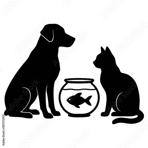 Curious pets observing fish