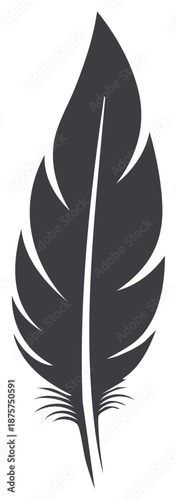 Fototapeta premium Dark bird feather illustration with detailed vanes and smooth contour on a clean white background for design element usage