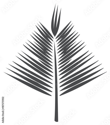 Monochrome tropical leaf illustration, stylized palm frond design, nature graphic