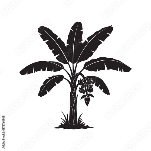 banana tree silhouette